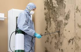 Best Air Quality Testing for Mold Spores  in Jonesborough, TN